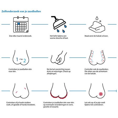 Infographic over zelfonderzoek van je zaadballen. Doe elke maand onderzoek, het liefst tijdens een warme douche of bad. Maak eerst de balzak schoon, controleer je zaadballen 1 voor 1. Rol de bal voorzichtig tussen duim en wijsvinger, check op afwijkingen. Controleer ook de zaadleiders, die zitten aan de achterkant van de balzak. Controleer of je harde stukken voelt, of gladde of harde knobbels. Controleer je zaadballen 1 voor 1 op eventuele veranderingen in vorm, grootte of zwaarte. Let ook op of je pijn voelt tijdens het controleren.