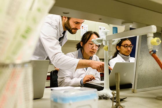 Drie laboratoriummedewerkers in witte jassen bestuderen gegevens op een laptop in een onderzoekslaboratorium