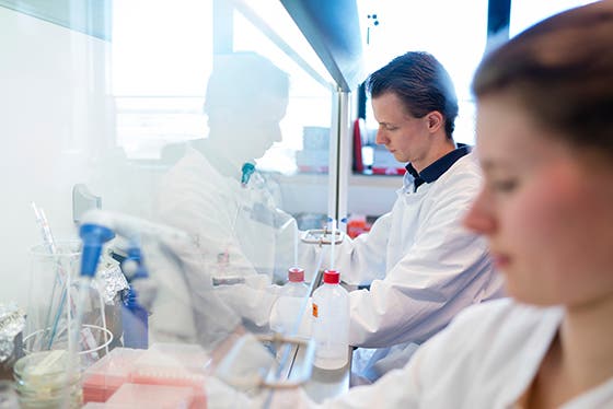 Researchers in white lab coats working at a lab bench with scientific equipment, focused on their experiments