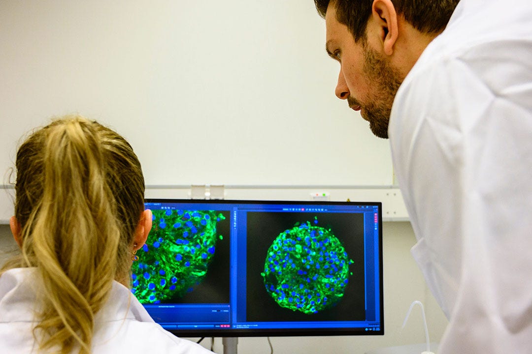 Two scientists in lab coats examining images of cell organoids on a computer screen in a research laboratory
