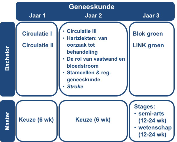 Overzicht studie geneeskunde