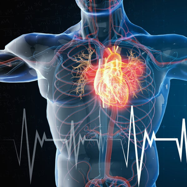 hart en hartritme