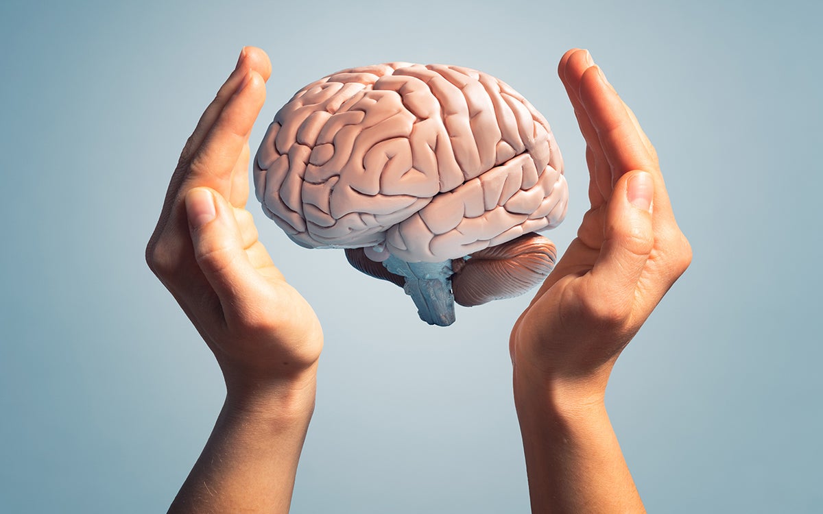 Model van hersenen tussen twee handen