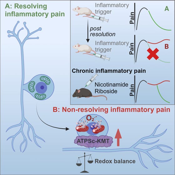 Graphic about pain