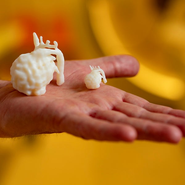 3D geprint hartje