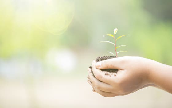 Twee kinderhanden houden een hoopje aarde vast, waar een plantje uit groeit.