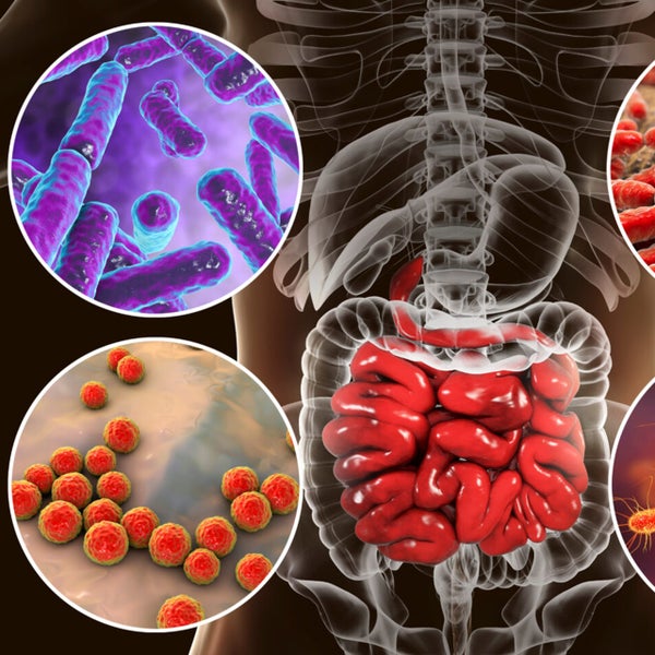 Microbiome