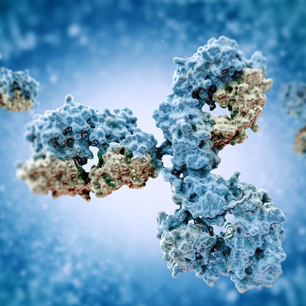 Immunoglobulin
