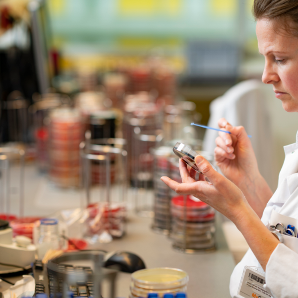 Onderzoeker in een laboratorium houdt een petrischaaltje en een stokje vast en kijkt in het schaaltje.