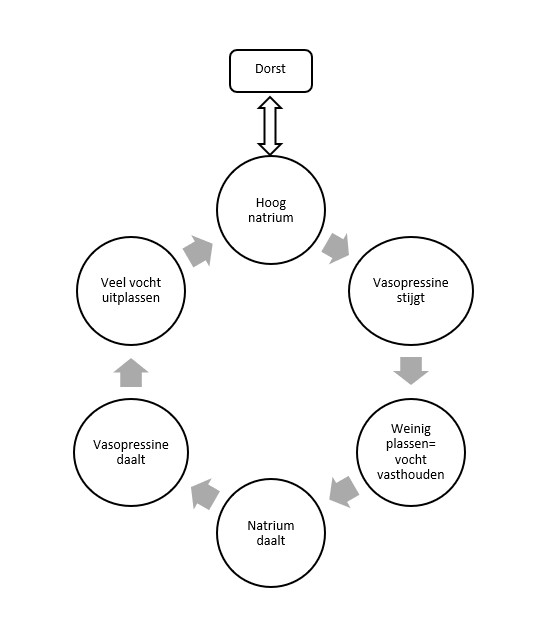 Stroomdiagram hypertone zoutinfusie