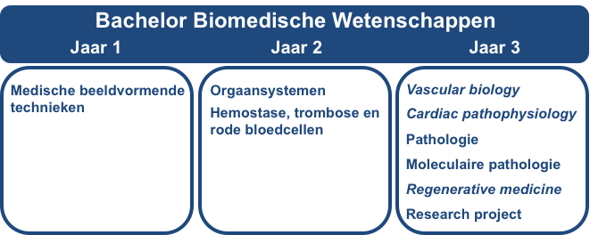 Overzicht bachelor biomedische wetenschappen