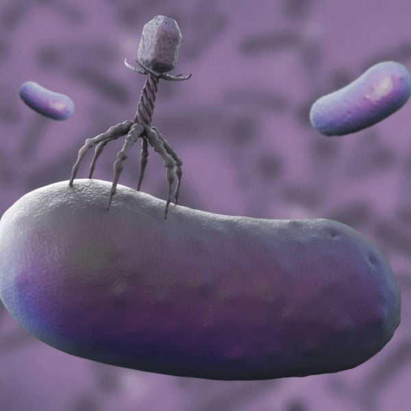 3D rendering van een bacteriofaag.
