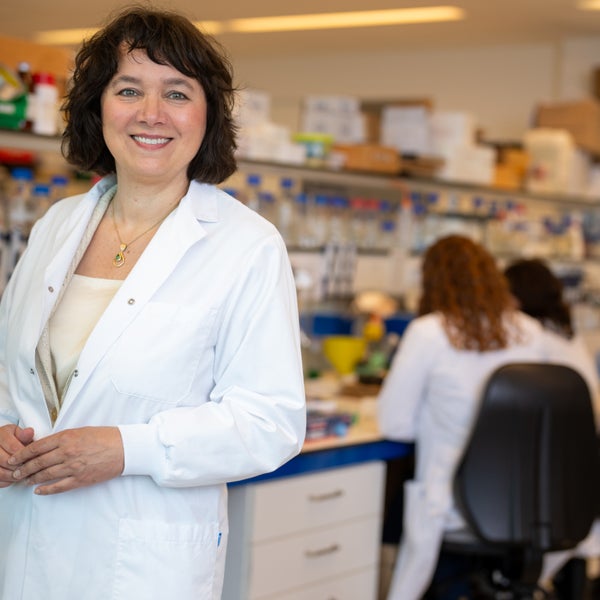 Marianne Verhaar, internist-nefroloog en hoogleraar Experimentele Nefrologie in het UMC Utrecht