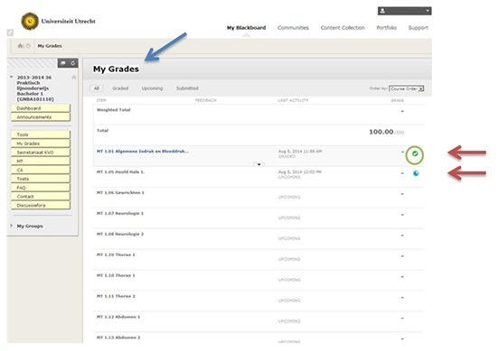 Screenshot van het My Grades menu in Blackboard