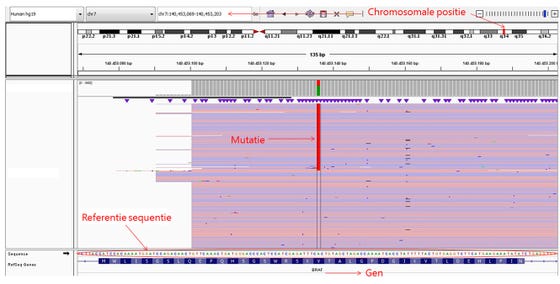 behandeling van het melanoom met tyrosine kinase remmers (TKI’s). 