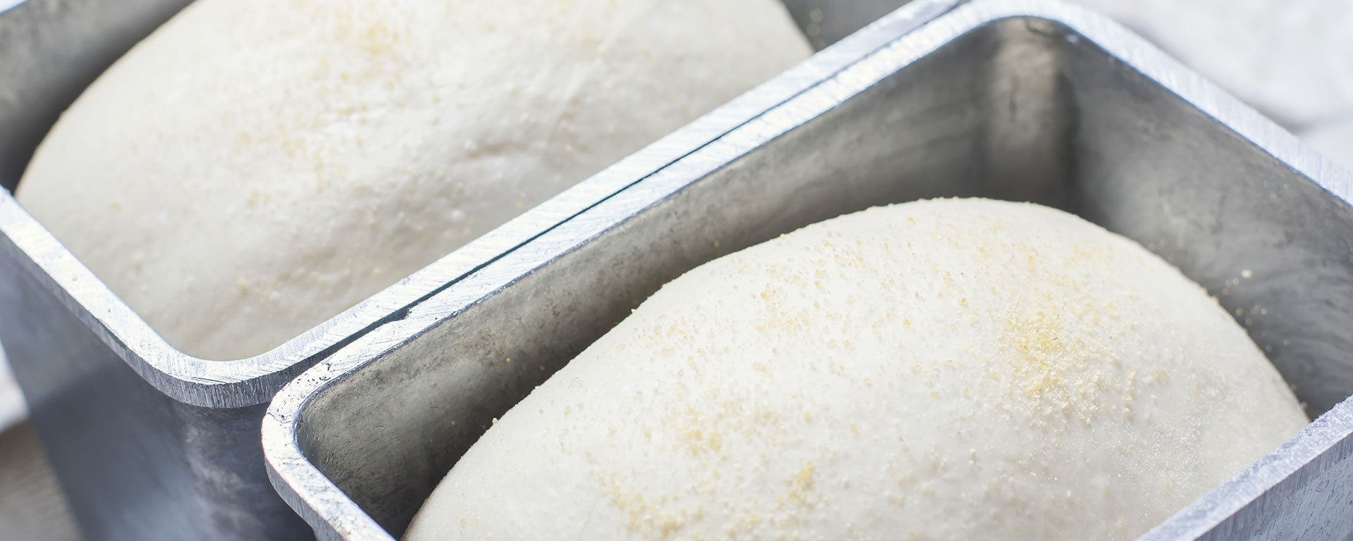 Dough-Tin_Header.jpg