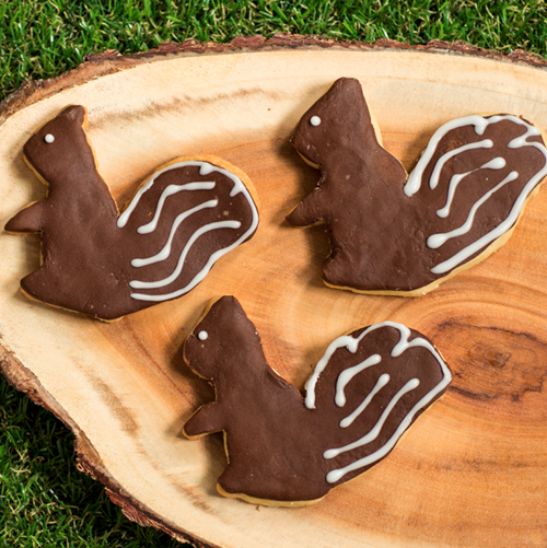 Squirrel Biscuits