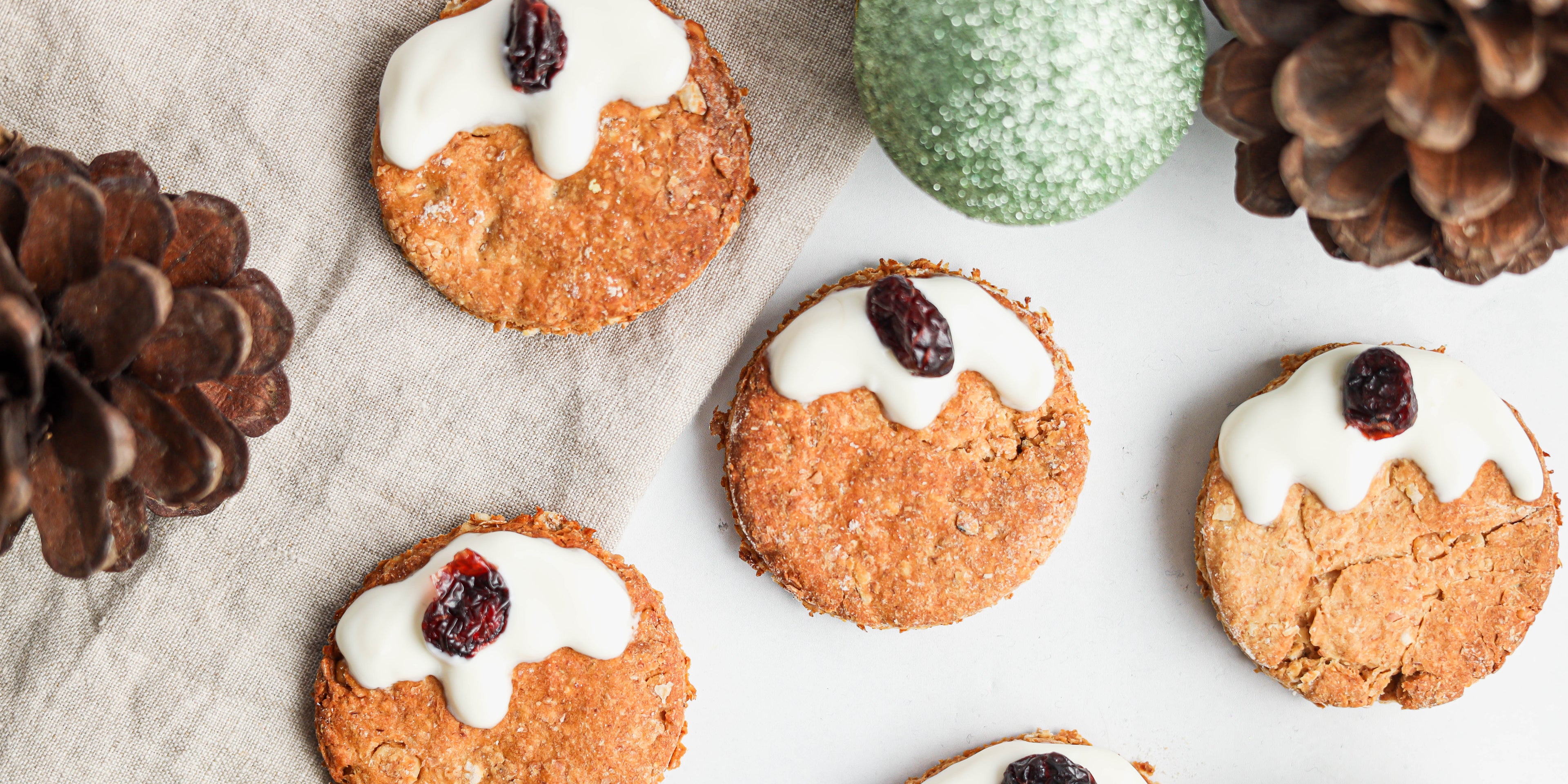 Close-ups of homemade Christmas pudding treats for dogs