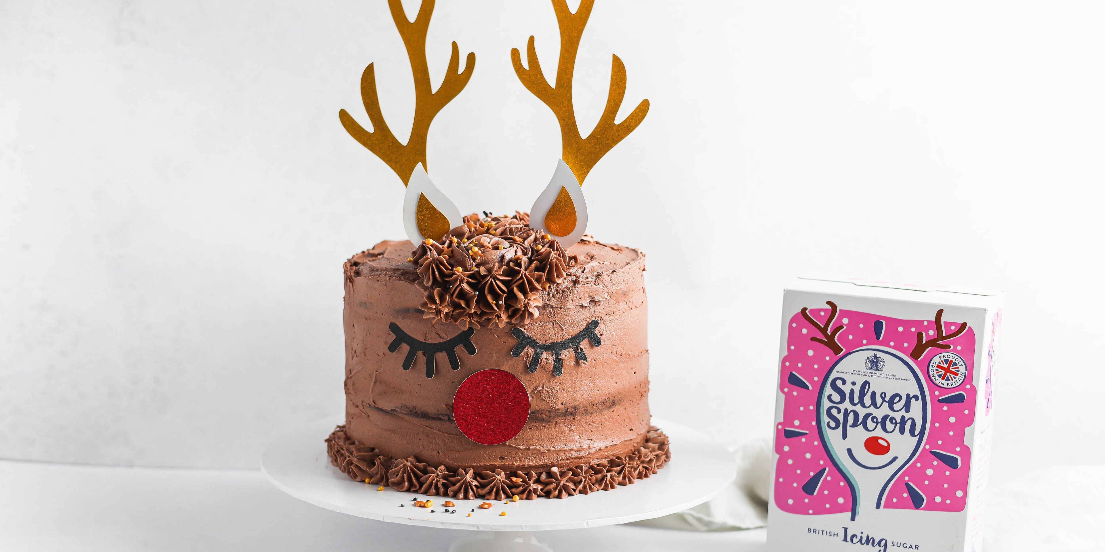 Christmas Reindeer Cake next to a box of Silver Spoon Icing Sugar
