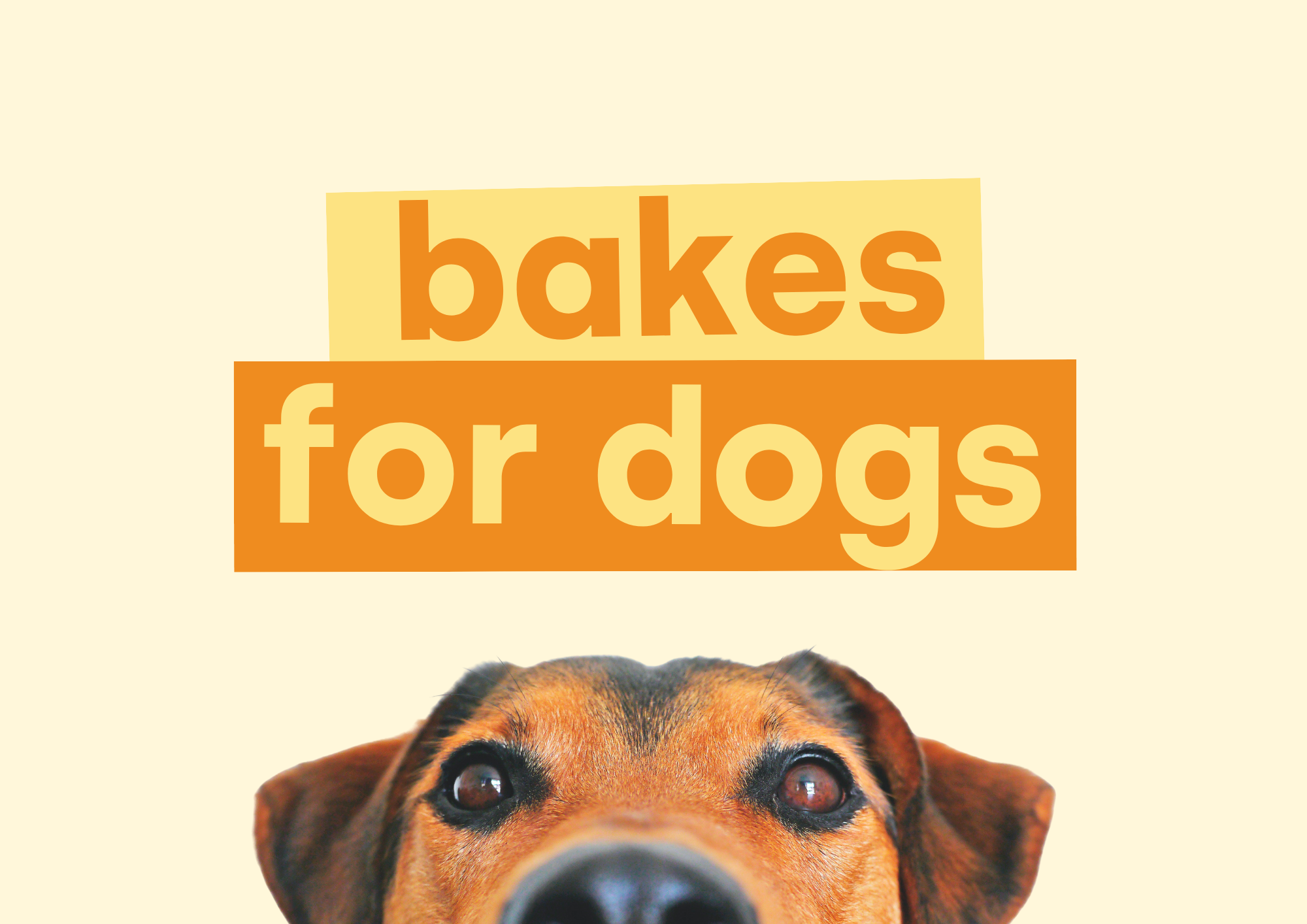 Bakes for dogs.