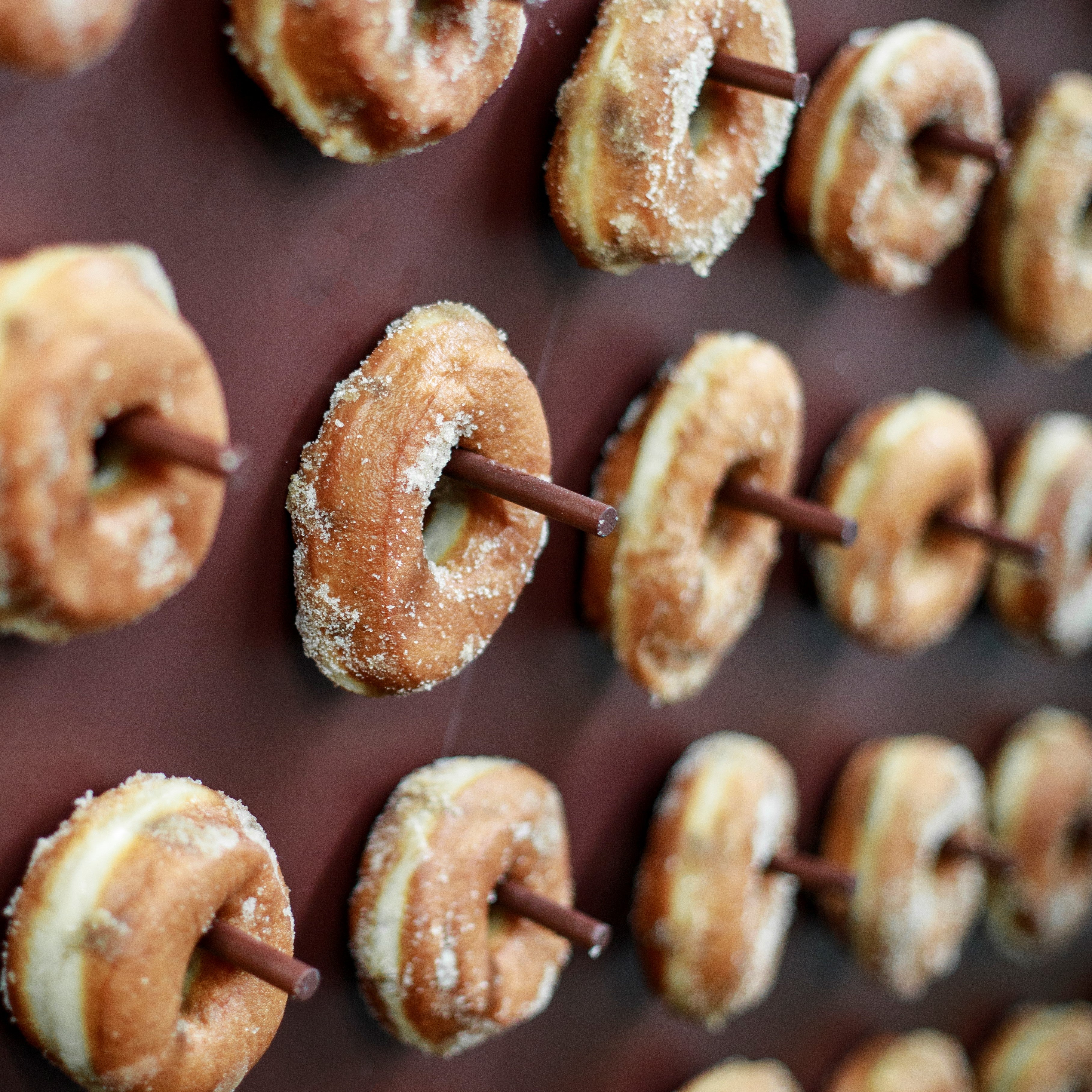 Doughnut-Wall-Lily-Vanilli.jpg