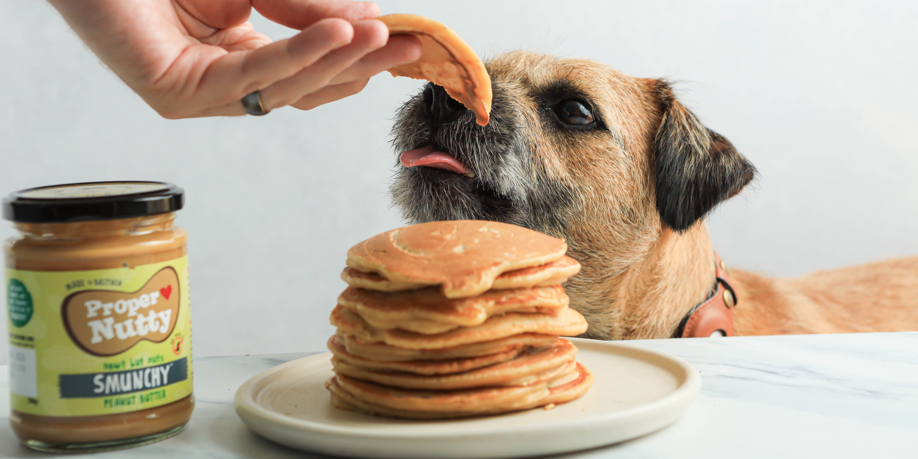 Hand holding a pancake up to a small brown dog with its tongue hanging out. There is a white plate of pancakes in the forefront of the shot next to a jar of peanut butter