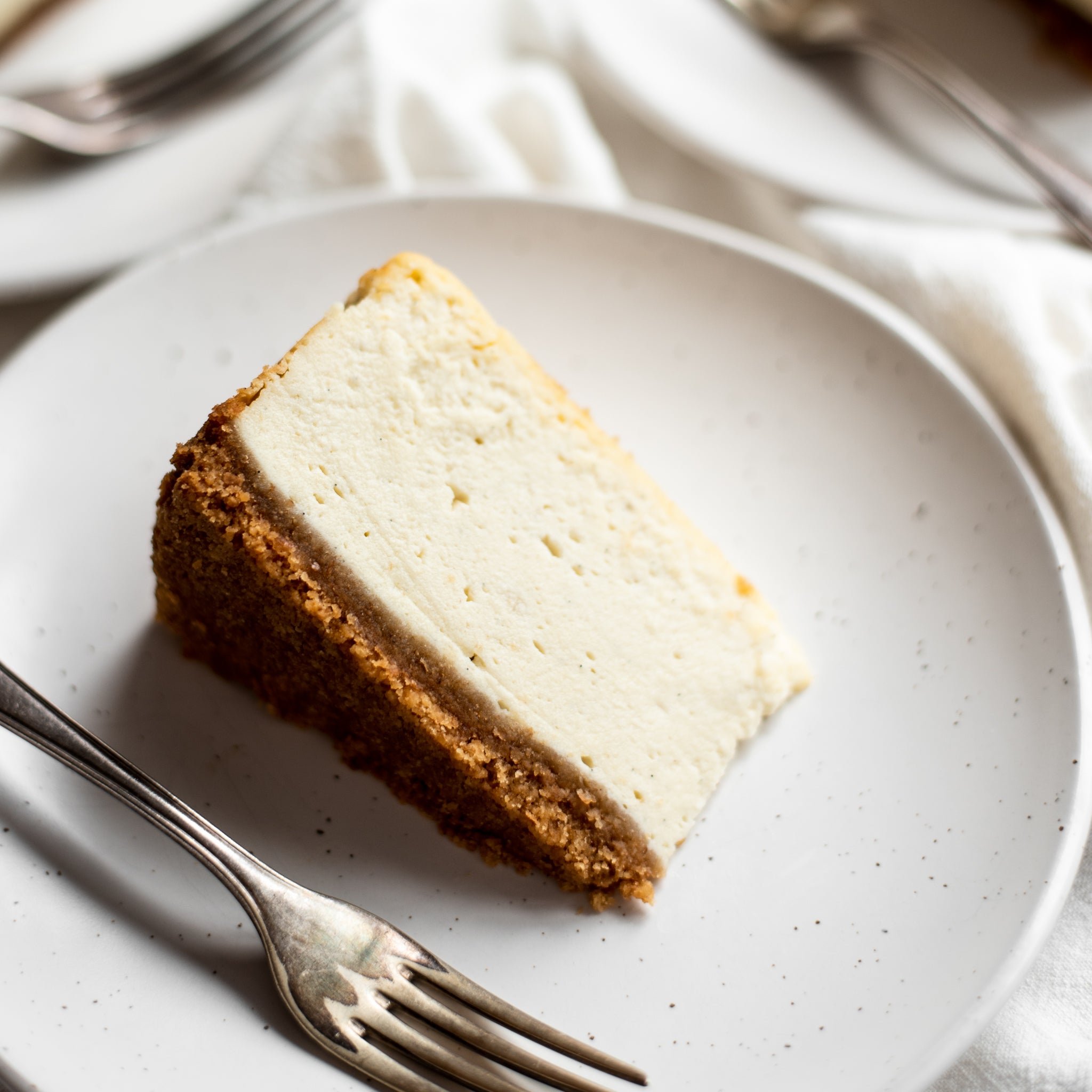 Baked-Cheesecake-SQUARE-1.jpg