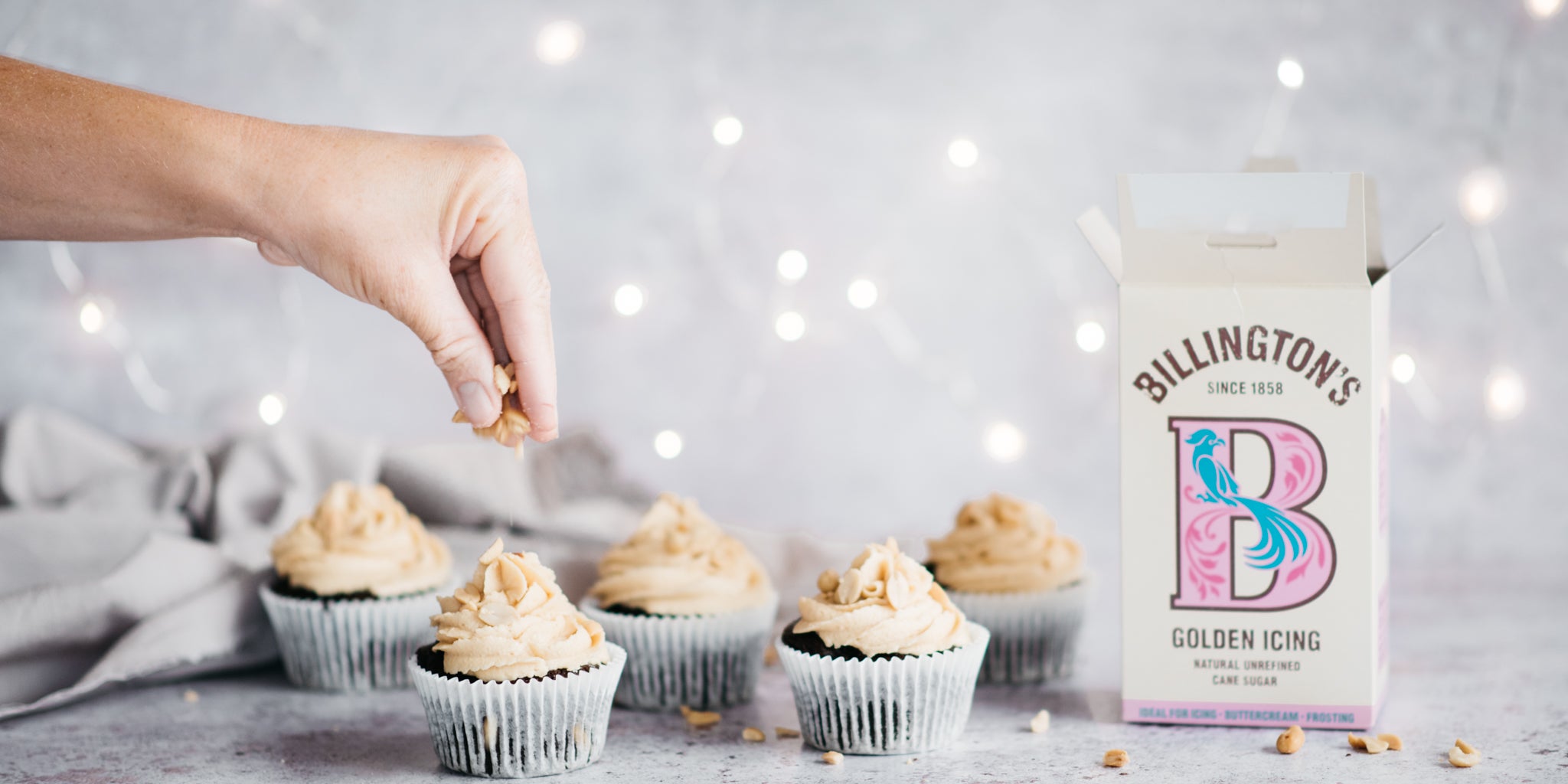 Chocolate Peanut Butter Muffins