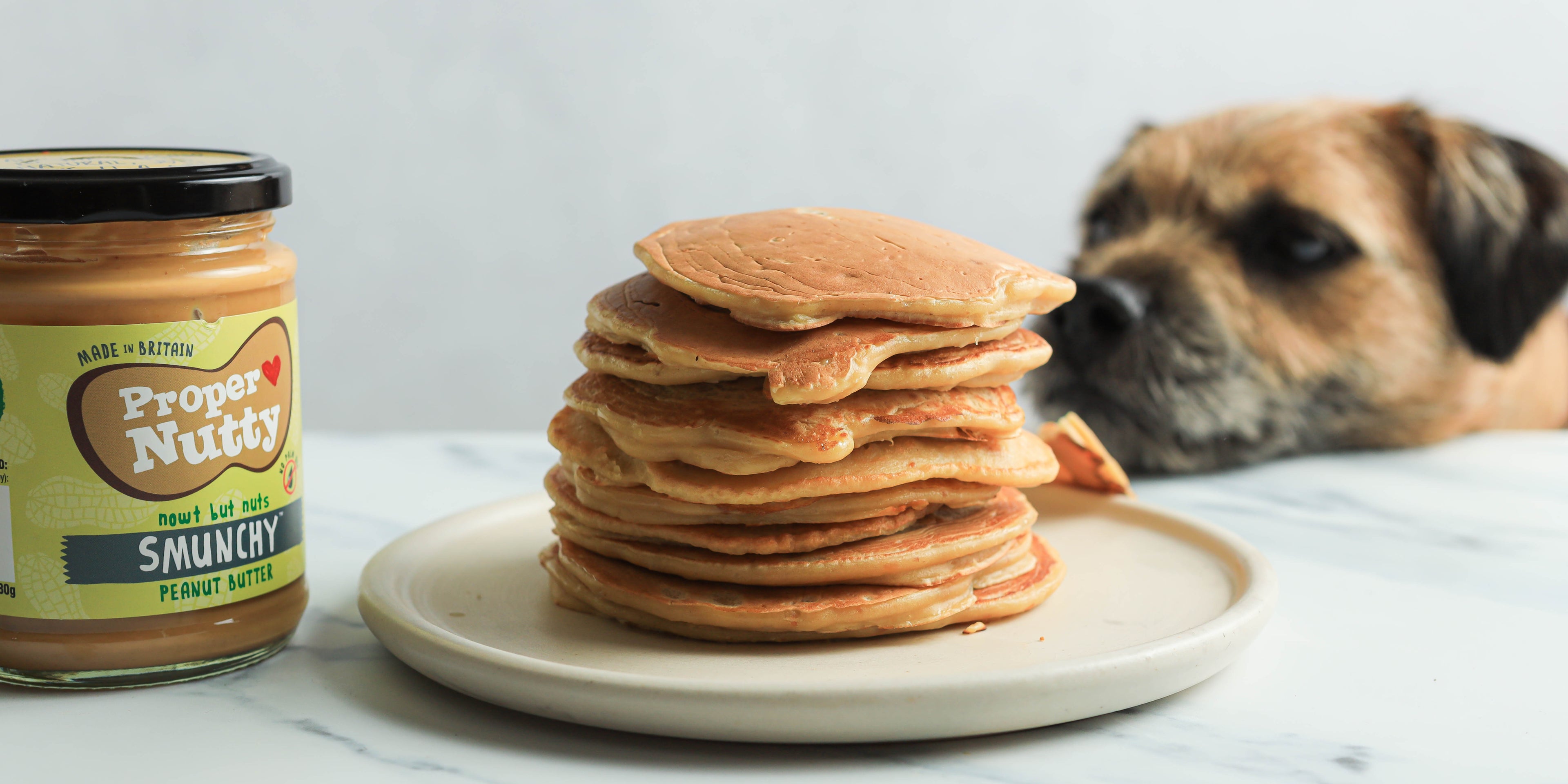 Stack on pancakes on a white plate next to a jar of peanut butter and small brown dog looking at the plate in the background