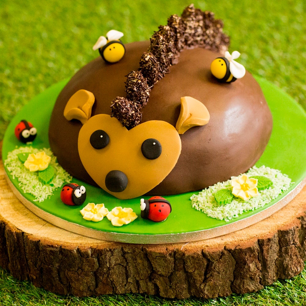1-Hedgehog-Cake-WEB.jpg
