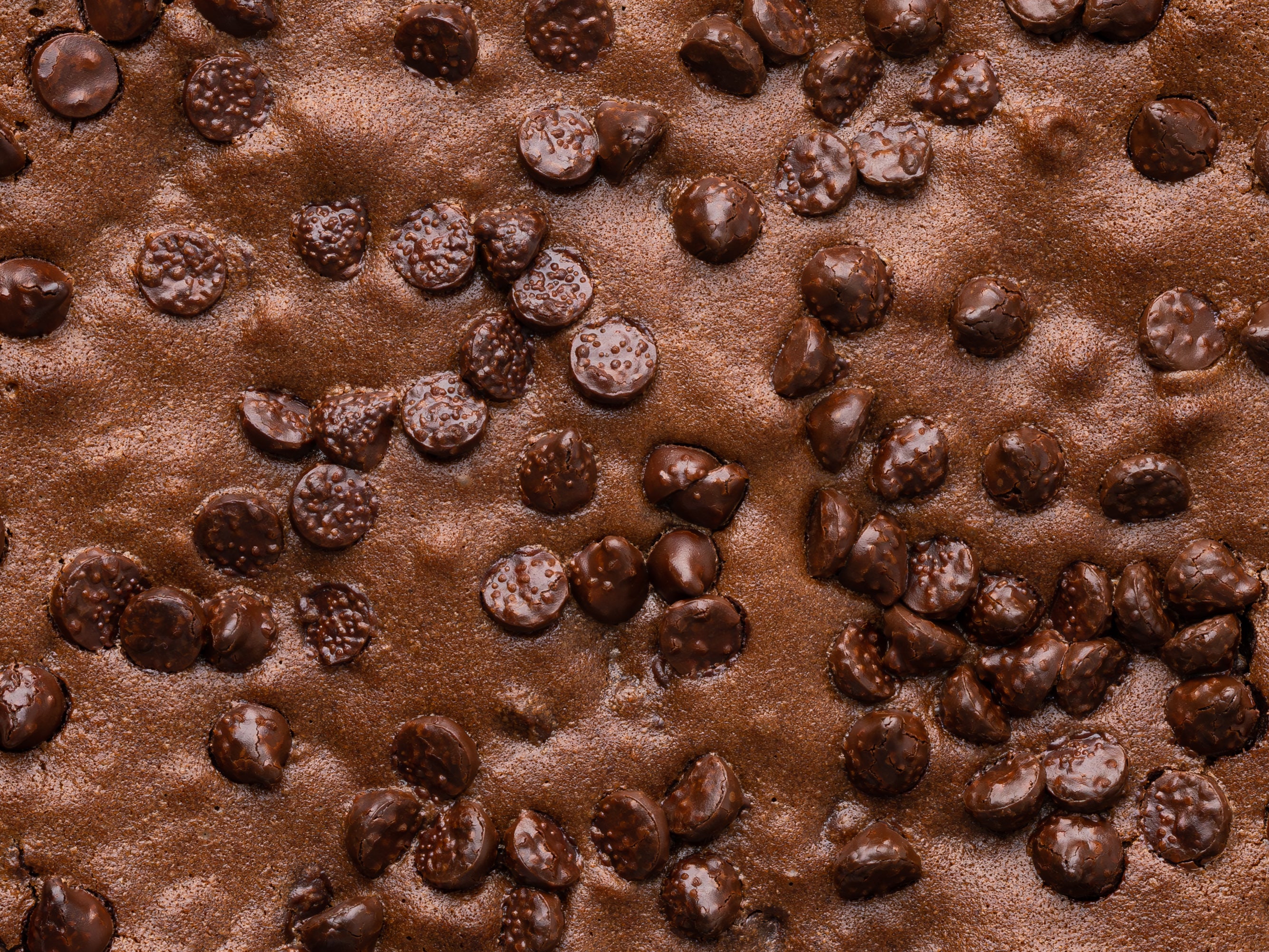 Close up of brownie mixture with chocolate chips