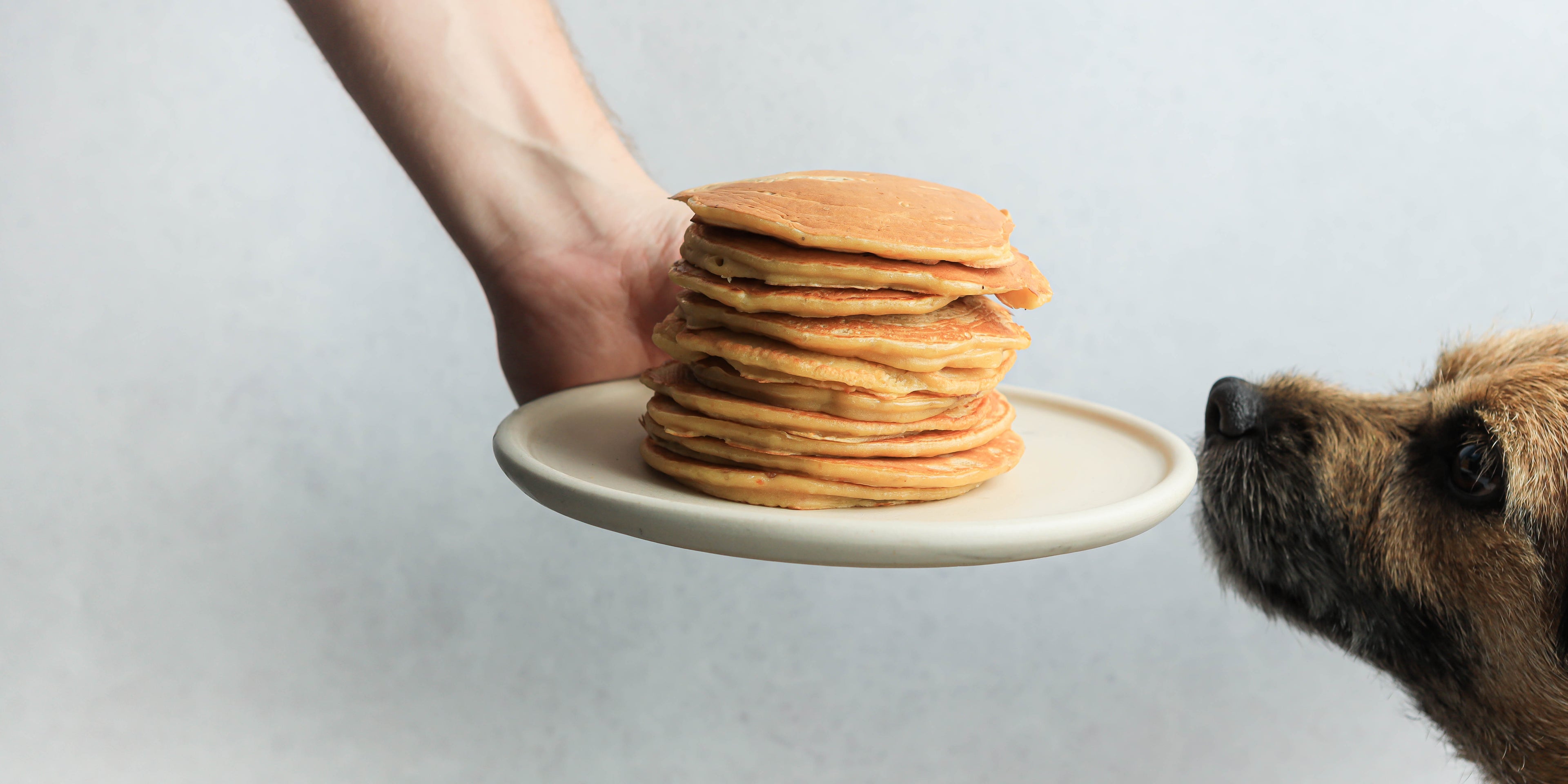 Hand holding a white plate with a stack of pancakes on it and a small brown dog to the right hand side sniffing the plate