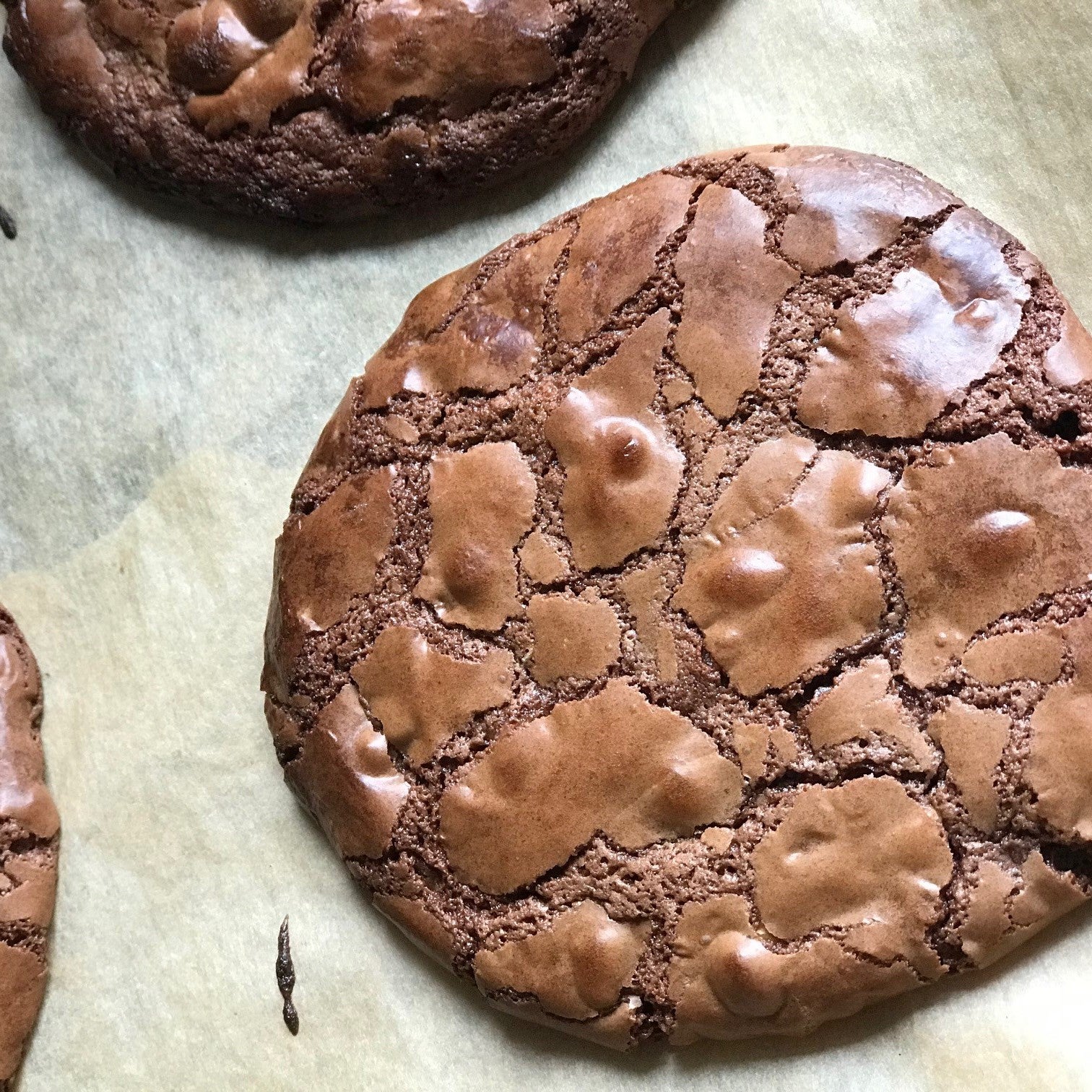 Close up on chocolate cookies on baking paper