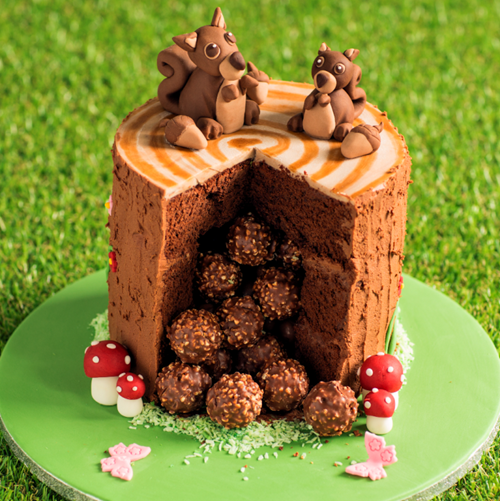 1-Squirrel-Cake-3-copy-WEB.png