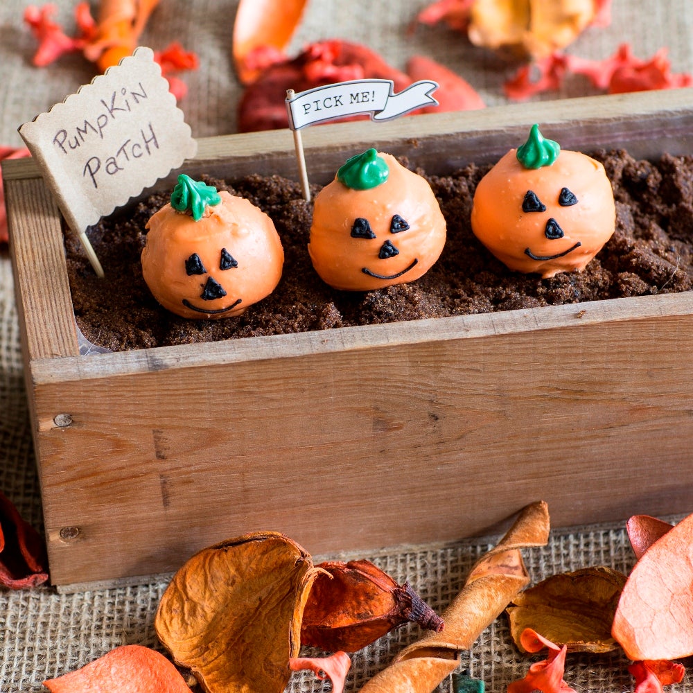 Pumpkin Halloween Vanilla Cake Pops