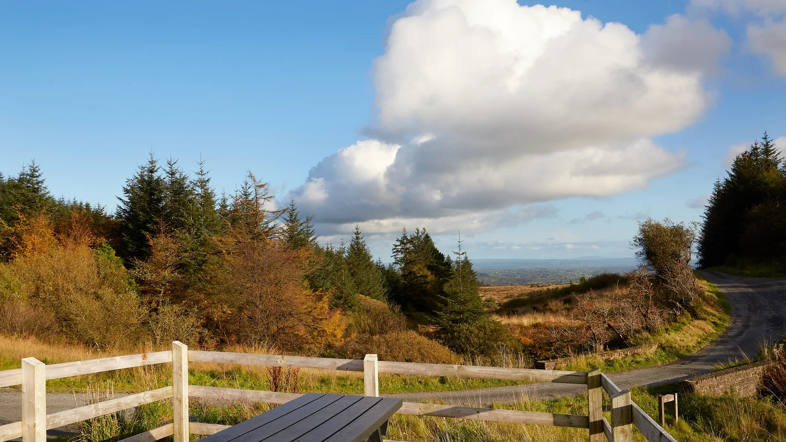 Develop a destination and placemaking plan for Patrick Kavanagh Country.