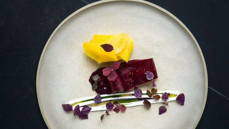 Fine dining plate with roasted beetroot, golden beetroot, and herb and cream garnish on a ceramic dish