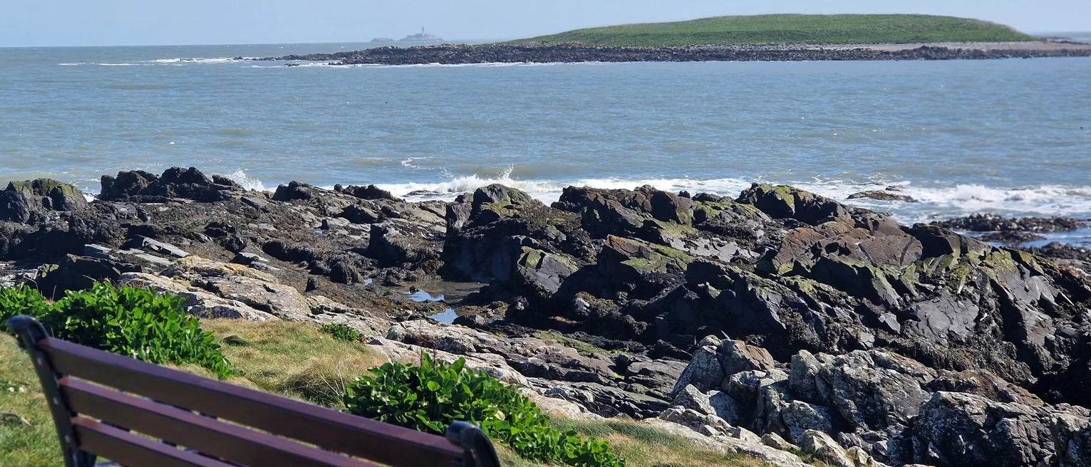 An outdoor bench looking out on Dublin's rocky shoreline and an island in the distance.