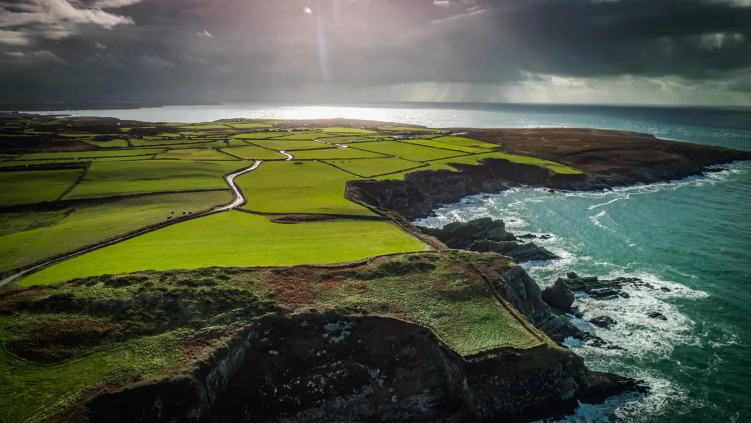 Aerial view of green fields along the Irish coastline