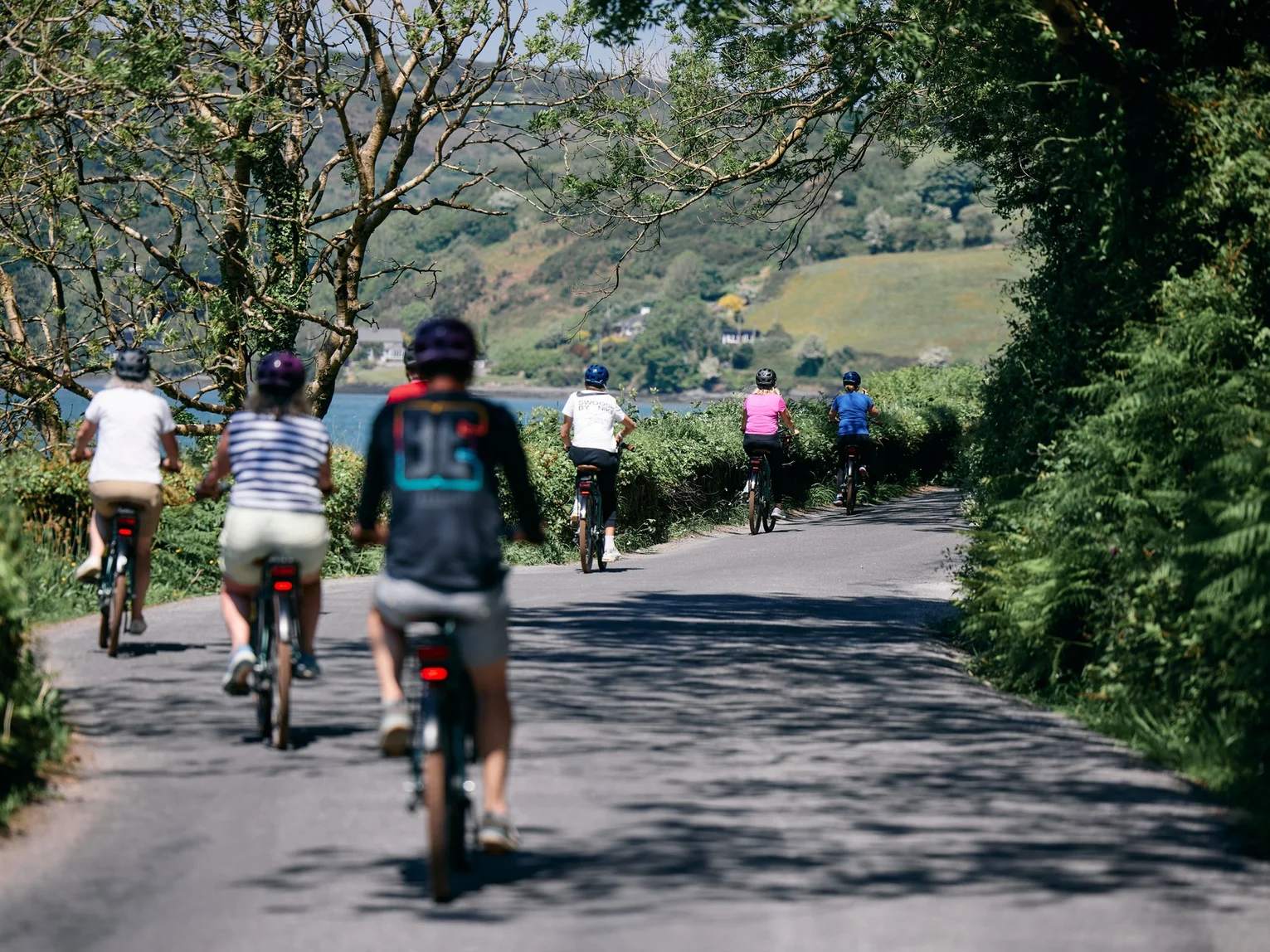Group of cyclists riding along a scenic coastal road lined with trees on a bright summer day