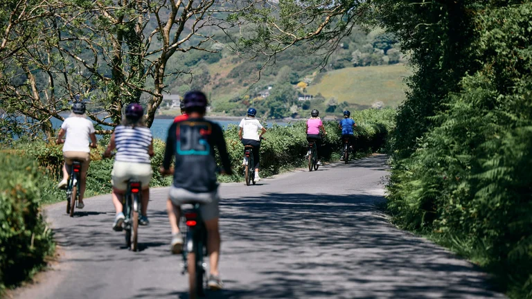 Group of cyclists riding along a scenic coastal road lined with trees on a bright summer day