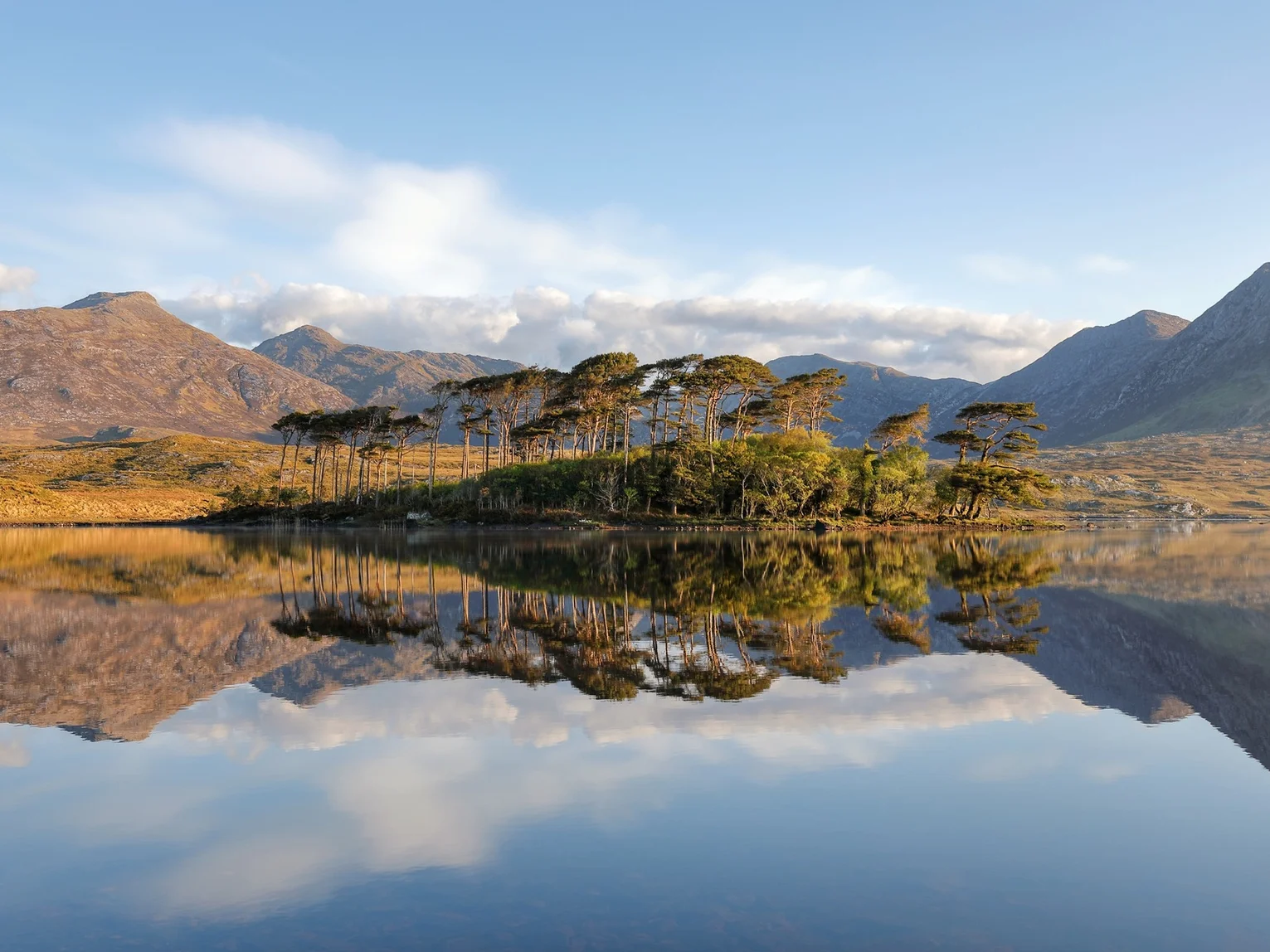 Scenic picture of lake and mountains