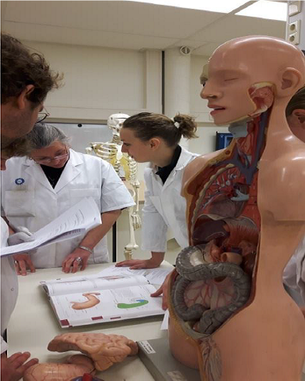 5-daagse Cursus “Anatomie, Fysiologie en Pathologie” 
