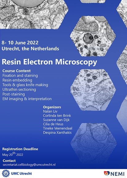 Resin Electron Microscopy