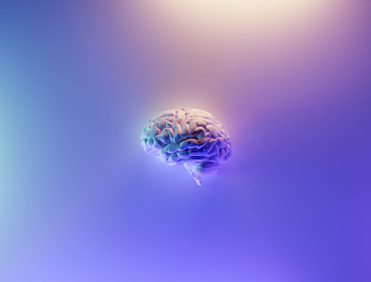 Utrecht Brain Conference 2022