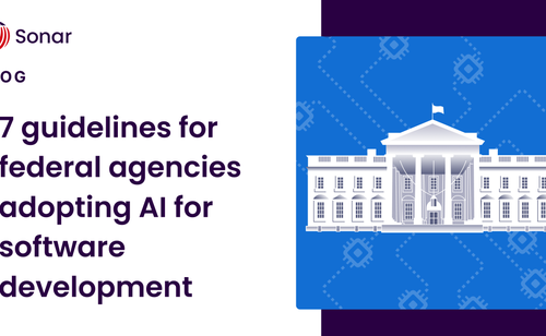 Image for 7 Guidelines for Federal Agencies Adopting AI for Software Development