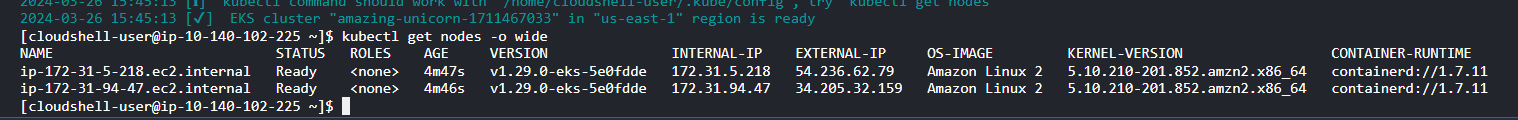 Output of running the EKS cluster