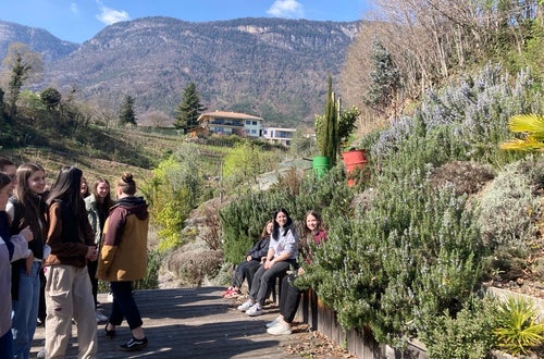 Schülerinnen besichtigen den Hof des Wandels in St. Pauls. Im Hintergrund ist der Kräutergarten zu sehen. Schülerinnen besichtigen den Hof des Wandels in St. Pauls. Im Hintergrund ist der Kräutergarten zu sehen.