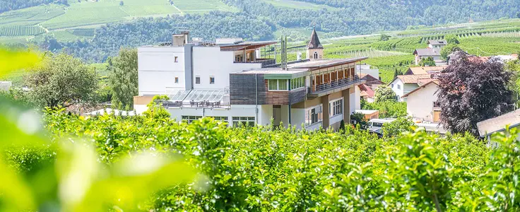 Schulgebäude im Hintergrund und im Vordergrund Apfelbäume Schulgebäude im Hintergrund und im Vordergrund Apfelbäume