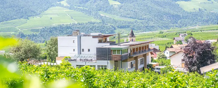 Schulgebäude im Hintergrund und im Vordergrund Apfelbäume Schulgebäude im Hintergrund und im Vordergrund Apfelbäume